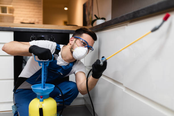 Best Mosquito Control Services  in Teaticket, MA