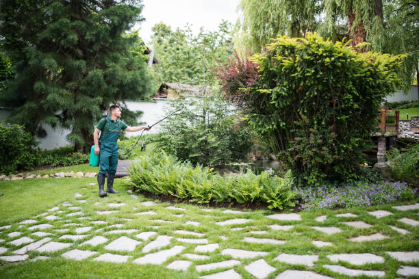 Best Pest Prevention Services  in Teaticket, MA