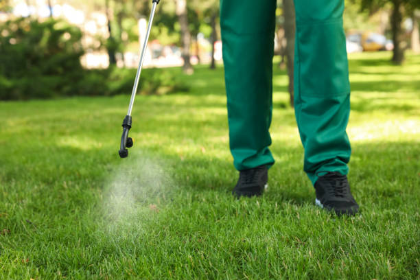 Best Flea Control Services  in Teaticket, MA