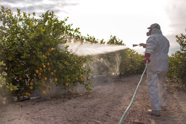 Best Affordable Pest Control Services  in Teaticket, MA