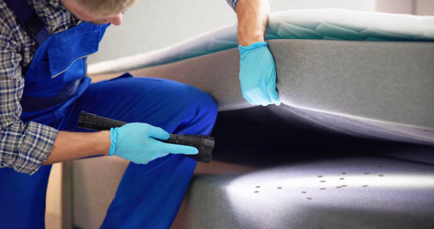 Best Pest Inspection Near Me  in Teaticket, MA