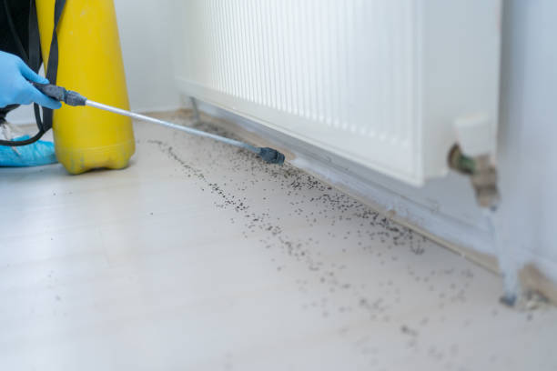 Best Pest Control for Restaurants  in Teaticket, MA