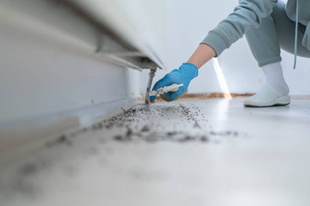 Best Pest Control for Businesses  in Teaticket, MA